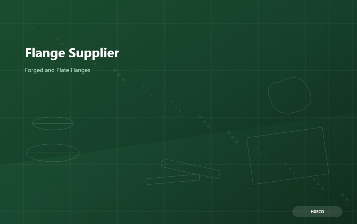 Flange Supplier – Weld Neck, Slip-On, Blind and Forged Flanges from Shanghai